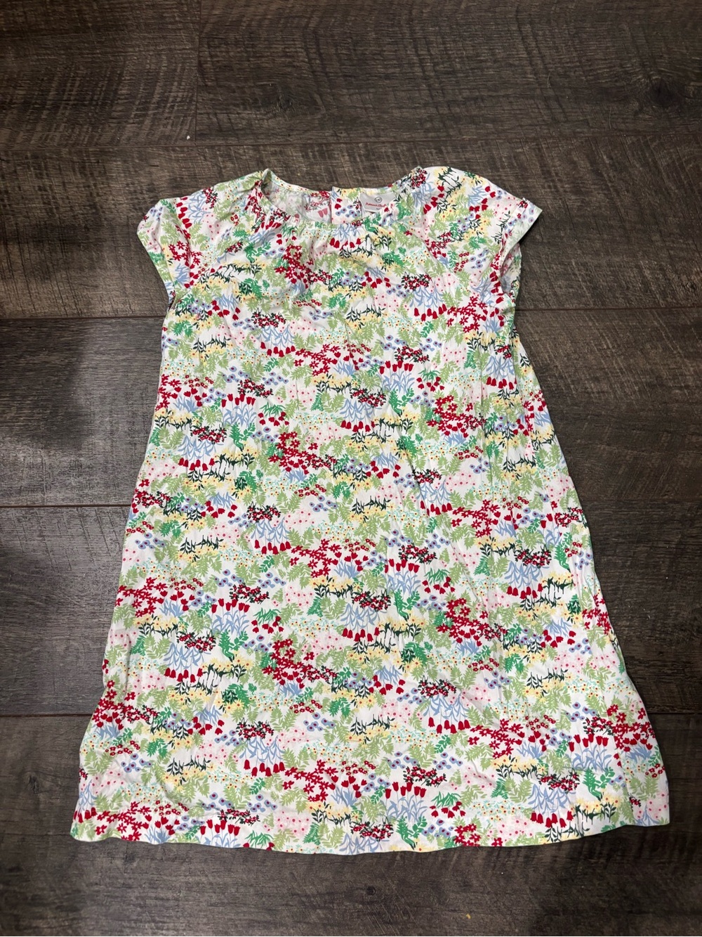 Hanna Andersson White Floral dress with Red & Green Accents